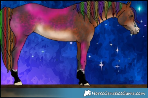 Horse Color:Painted Bay 