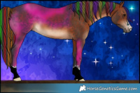 Horse Color:Painted Bay