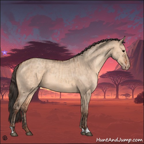 Horse Color:Bay Dun  and Amber Champagne Dun 