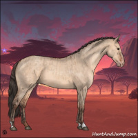 Horse Color:Bay Dun  and Amber Champagne Dun 