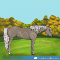 Horse Color:Silver Smoky Black 