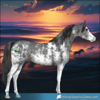 Horse Color:Black Sabino 