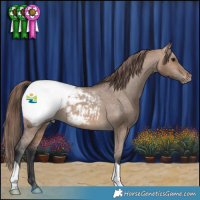 Horse Color:Brown Dun Snowcap 
