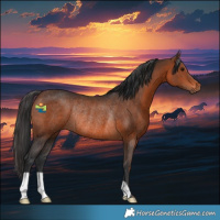 Horse Color:Brown Rabicano 