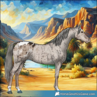 Horse Color:Liver Red Dun Mushroom Appaloosa Brindle 