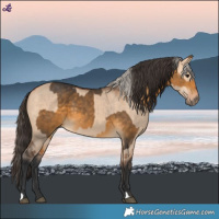 Horse Color:Silver Buckskin  and Bay Dun 