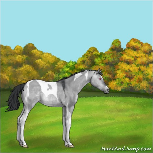 Horse Color:Brown Chinchilla Dun Tobiano 