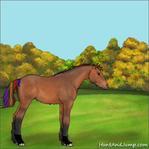 Horse Color:Painted Bay 