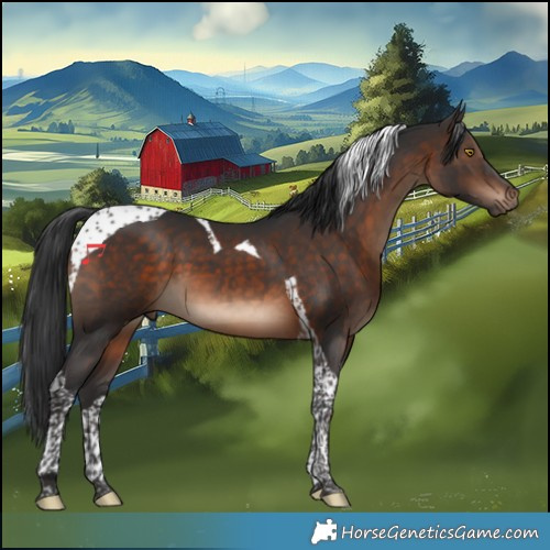 Horse Color:Brown Tobiano 