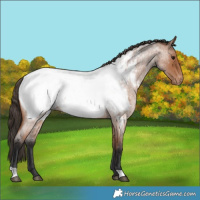 Horse Color:Bay Roan Near Fewspot Rabicano 