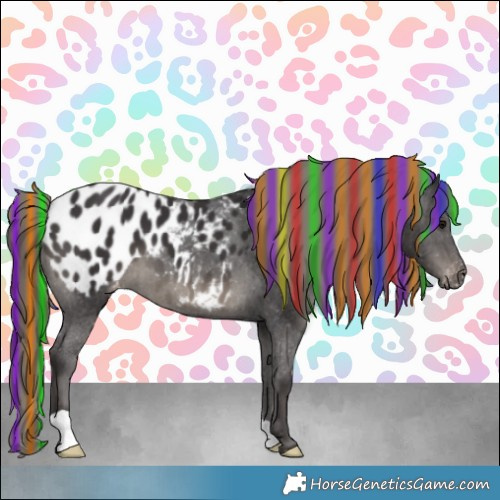 Horse Color:Painted Smoky Black Appaloosa 