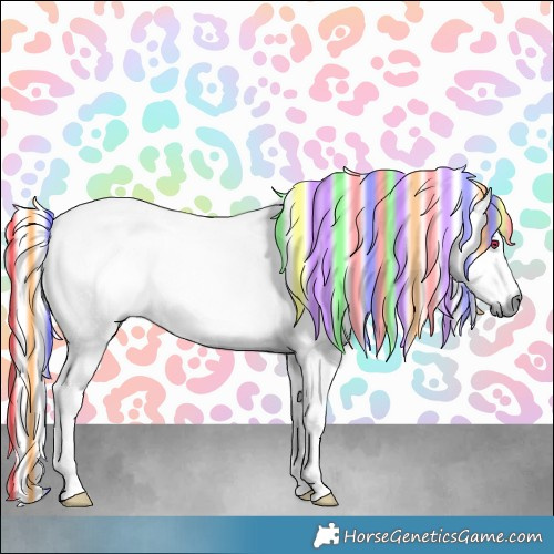 Horse Color:Painted Liver Chestnut Chinchilla 