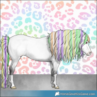 Horse Color:Painted Buckskin Chinchilla Appaloosa