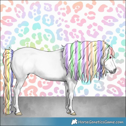 Horse Color:Painted Chestnut Chinchilla 