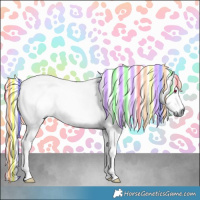 Horse Color:Painted Chestnut Chinchilla 