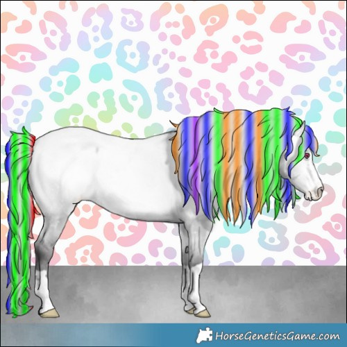 Horse Color:Painted Buckskin Chinchilla Dun Appaloosa 