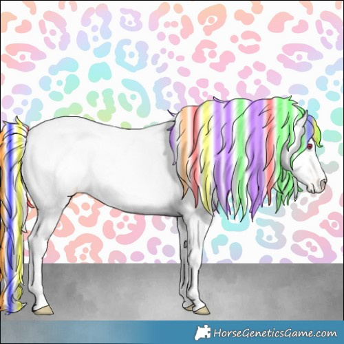 Horse Color:Painted Chestnut Chinchilla Appaloosa 