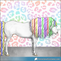 Horse Color:Painted Chestnut Chinchilla Appaloosa 