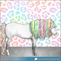Horse Color:Painted Silver Buckskin Chinchilla Dun Appaloosa