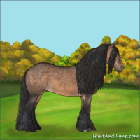 Horse Color:Brown Dun and Brown Dun