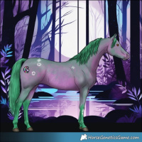 Horse Color:Watercolor Bay Rabicano 