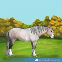 Horse Color:Brown 