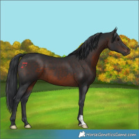 Horse Color:Brown 