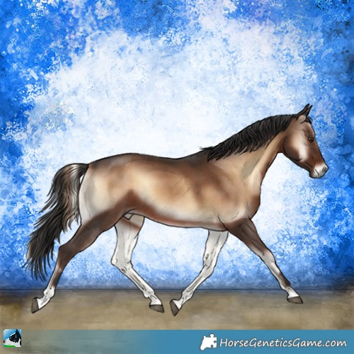 Horse Color:Liver Red Onyx Rabicano 