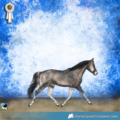 Horse Color:White Spotted Blue Onyx Sabino Rabicano 