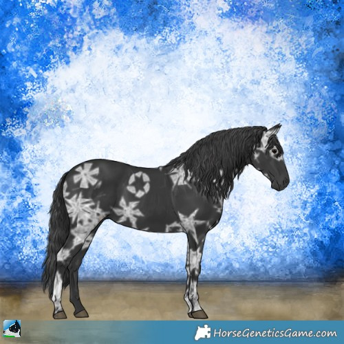 Horse Color:Black Ice 