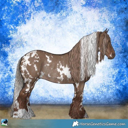 Horse Color:White Spotted Liver Red Dun Rabicano 