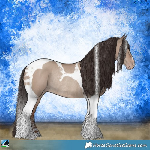 Horse Color:Classic Champagne Dun Tobiano Rabicano 