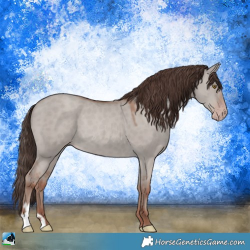 Horse Color:Classic Champagne Dun Mushroom 