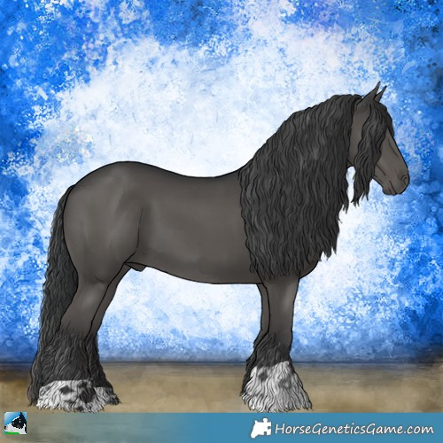 Horse Color:Grullo Mushroom 