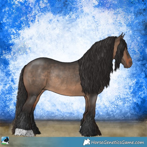 Horse Color:Brown Dun Rabicano 