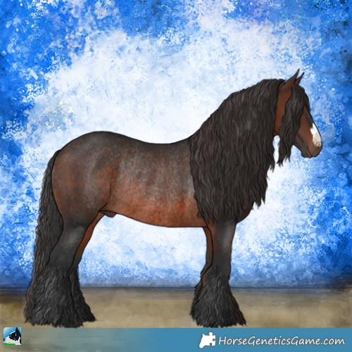 Horse Color:Brown Mushroom Rabicano 