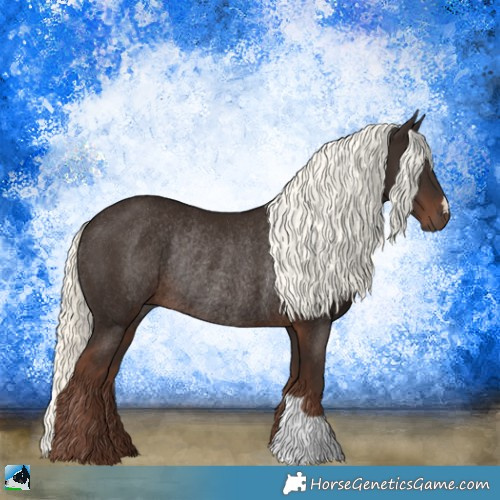 Horse Color:Liver Chestnut Mushroom Rabicano 