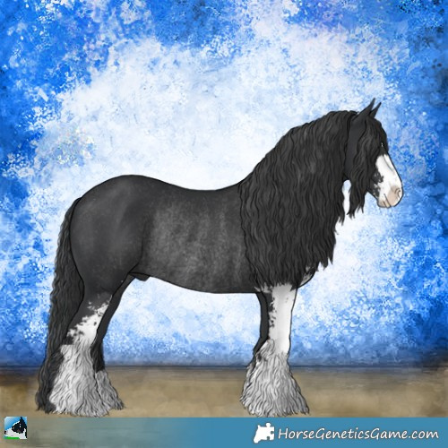 Horse Color:Black Sabino Rabicano 