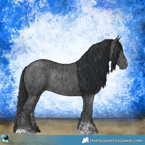 Horse Color:Black Ice Sabino Rabicano 