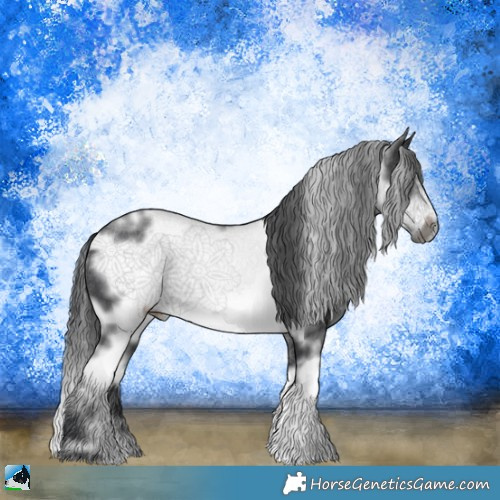 Horse Color:White Spotted Black Mushroom Sabino Frame Rabicano 
