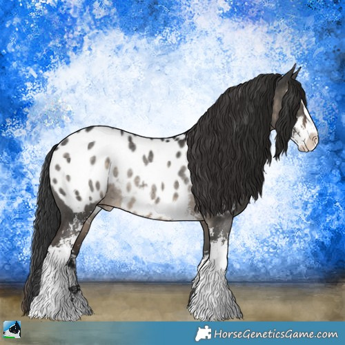 Horse Color:Brown Dun Sabino Appaloosa Rabicano 
