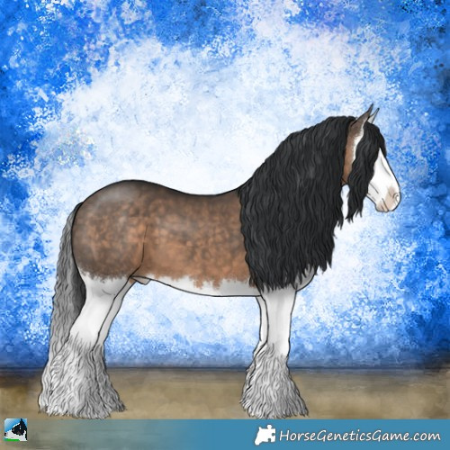 Horse Color:Brown Dun Splash 