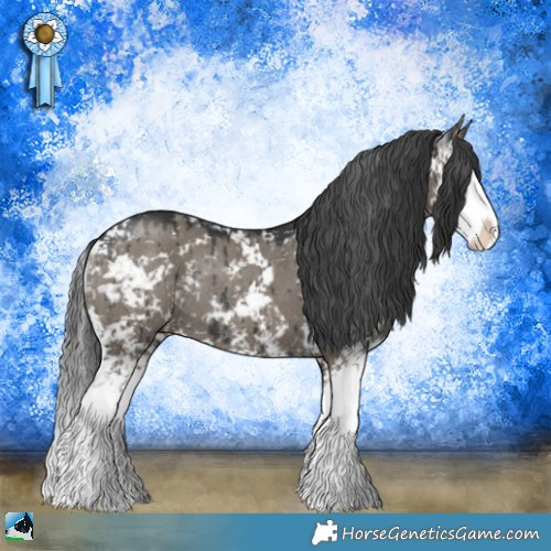Horse Color:Grullo Mushroom Sabino Splash Rabicano Brindle 
