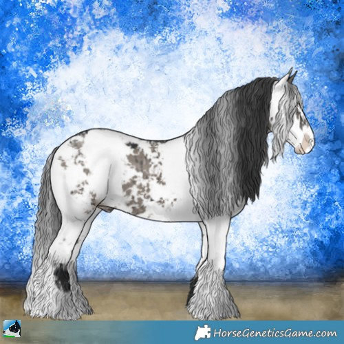 Horse Color:Grullo Mushroom Sabino Brindle 