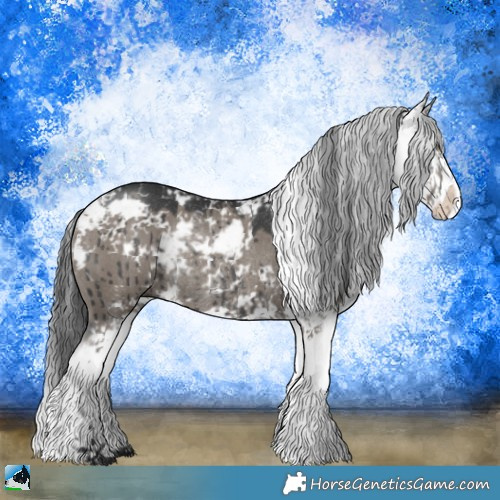 Horse Color:Grullo Mushroom Sabino Rabicano Brindle 