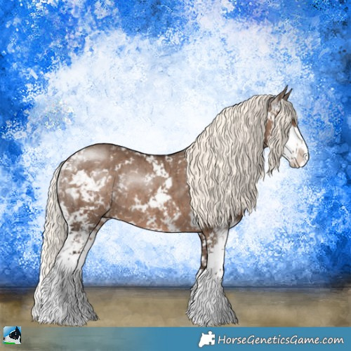 Horse Color:Liver Red Dun Mushroom Sabino Rabicano Brindle 