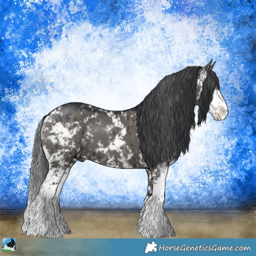 Horse Color:Grullo Mushroom Sabino Brindle 