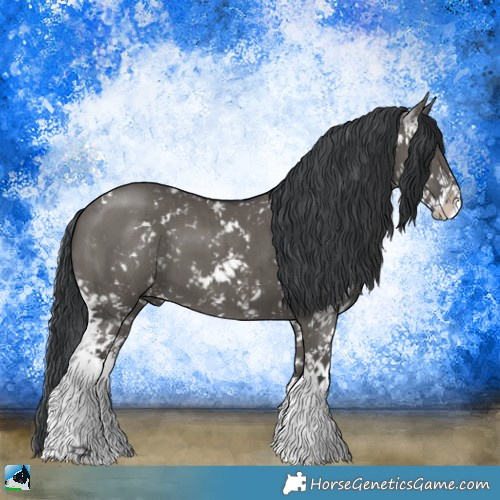 Horse Color:Grullo Mushroom Sabino Brindle 