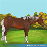 Horse Color:Silver Bay 