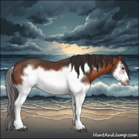 Horse Color:Brown Splash Frame 
